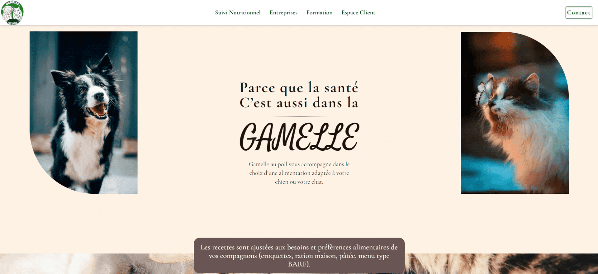 Developpement de site internet - Gamelle Au Poil - Agence UHDP