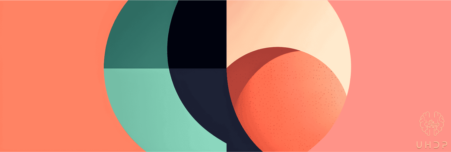 La Refonte d'un Site Web UX UI Design