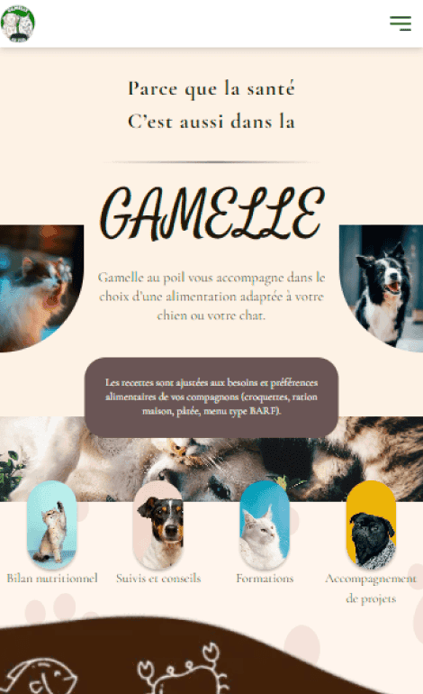 Developpement de site internet - Gamelle Au Poil Mobile - Agence UHDP